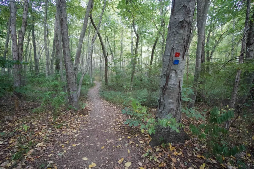 long term rv park near westerly ri